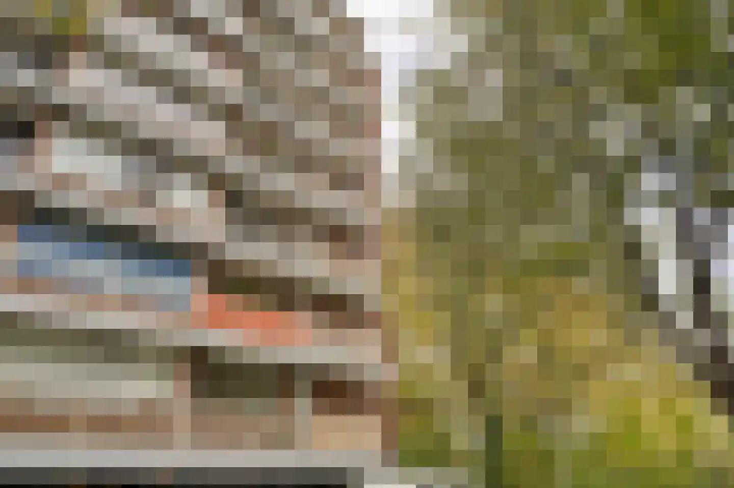 Kornalijnhorst 390 Den Haag thumbnail 6