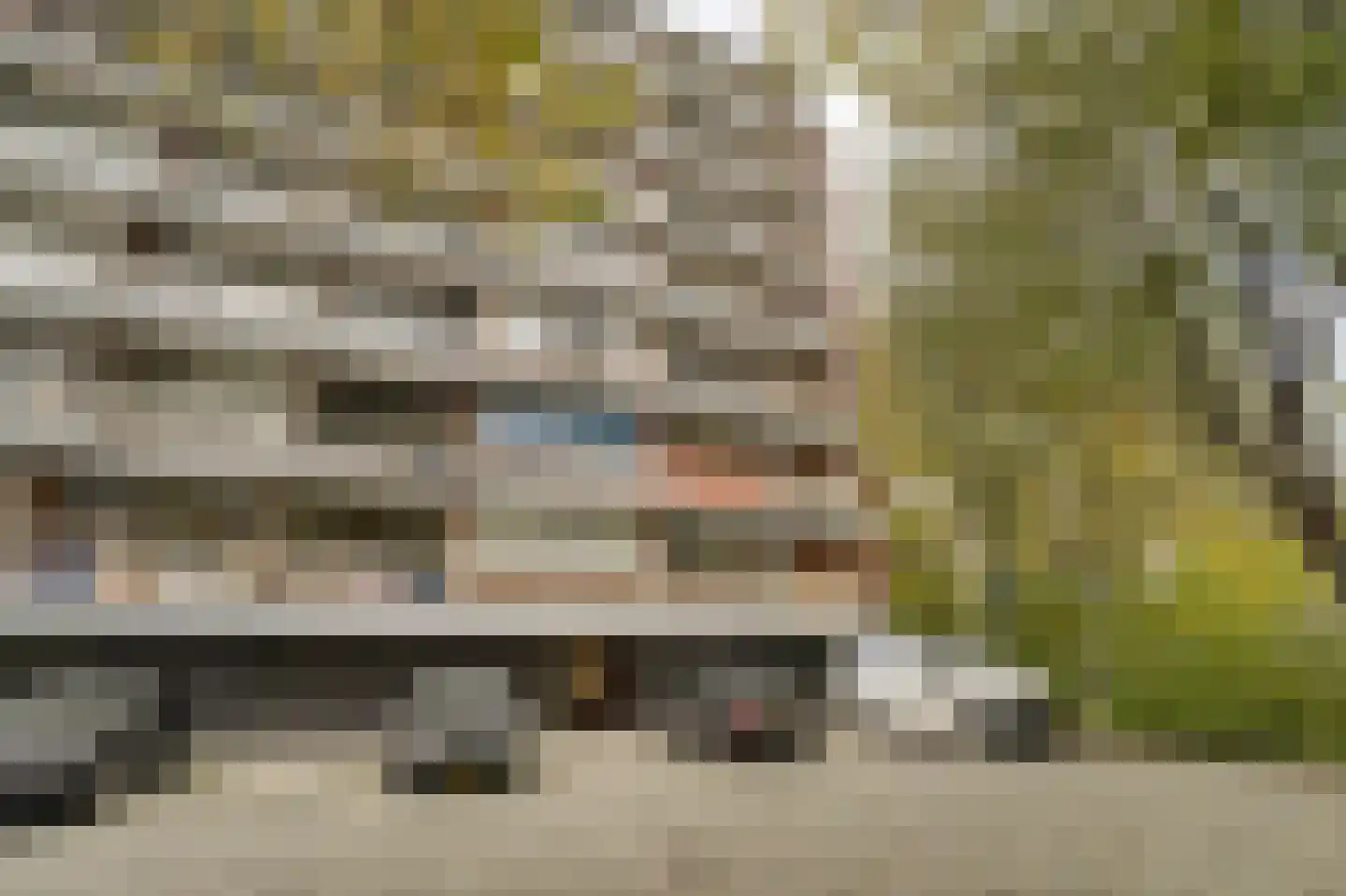 Kornalijnhorst 390 Den Haag thumbnail 7