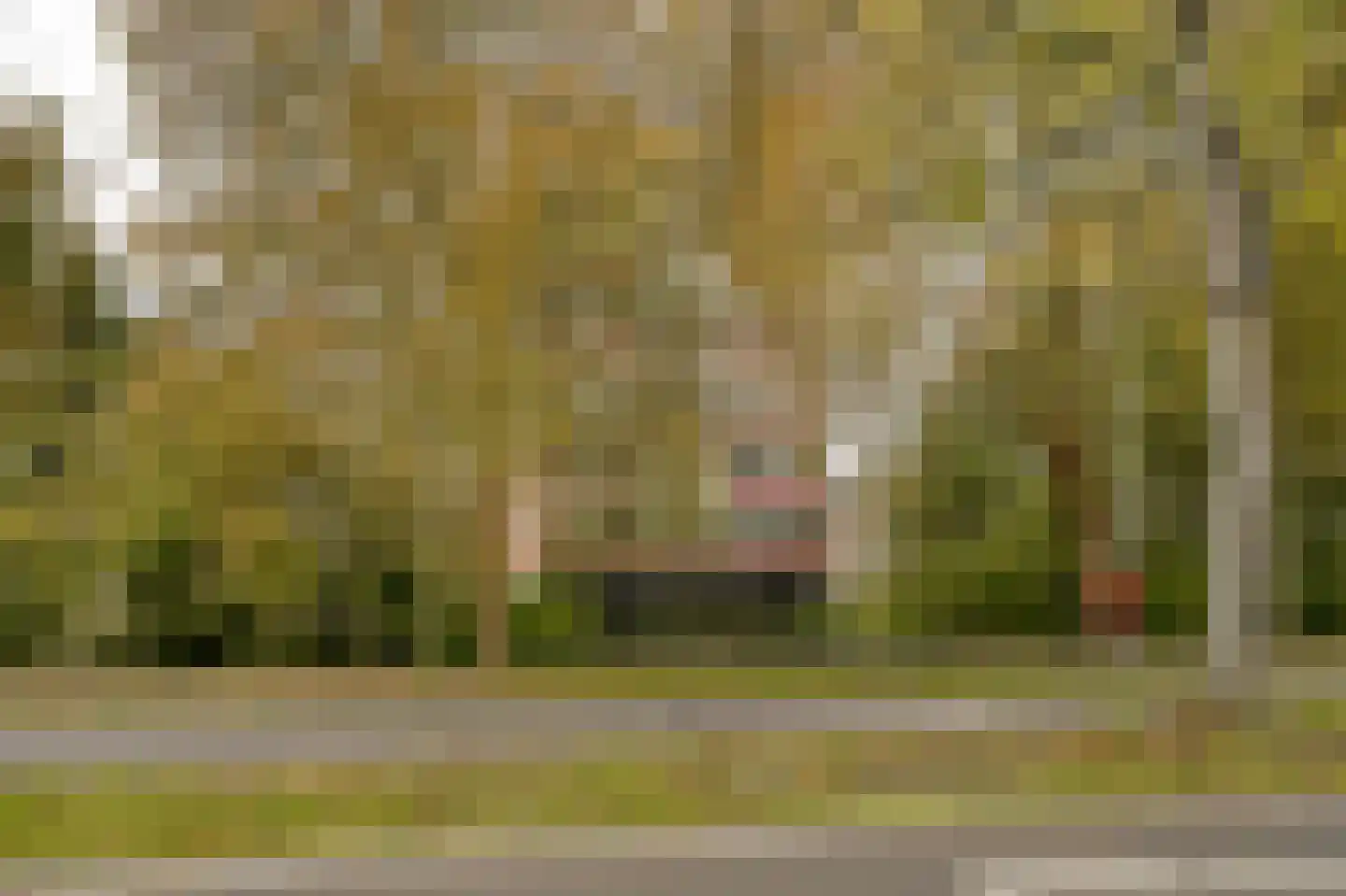 Kornalijnhorst 390 Den Haag thumbnail 9