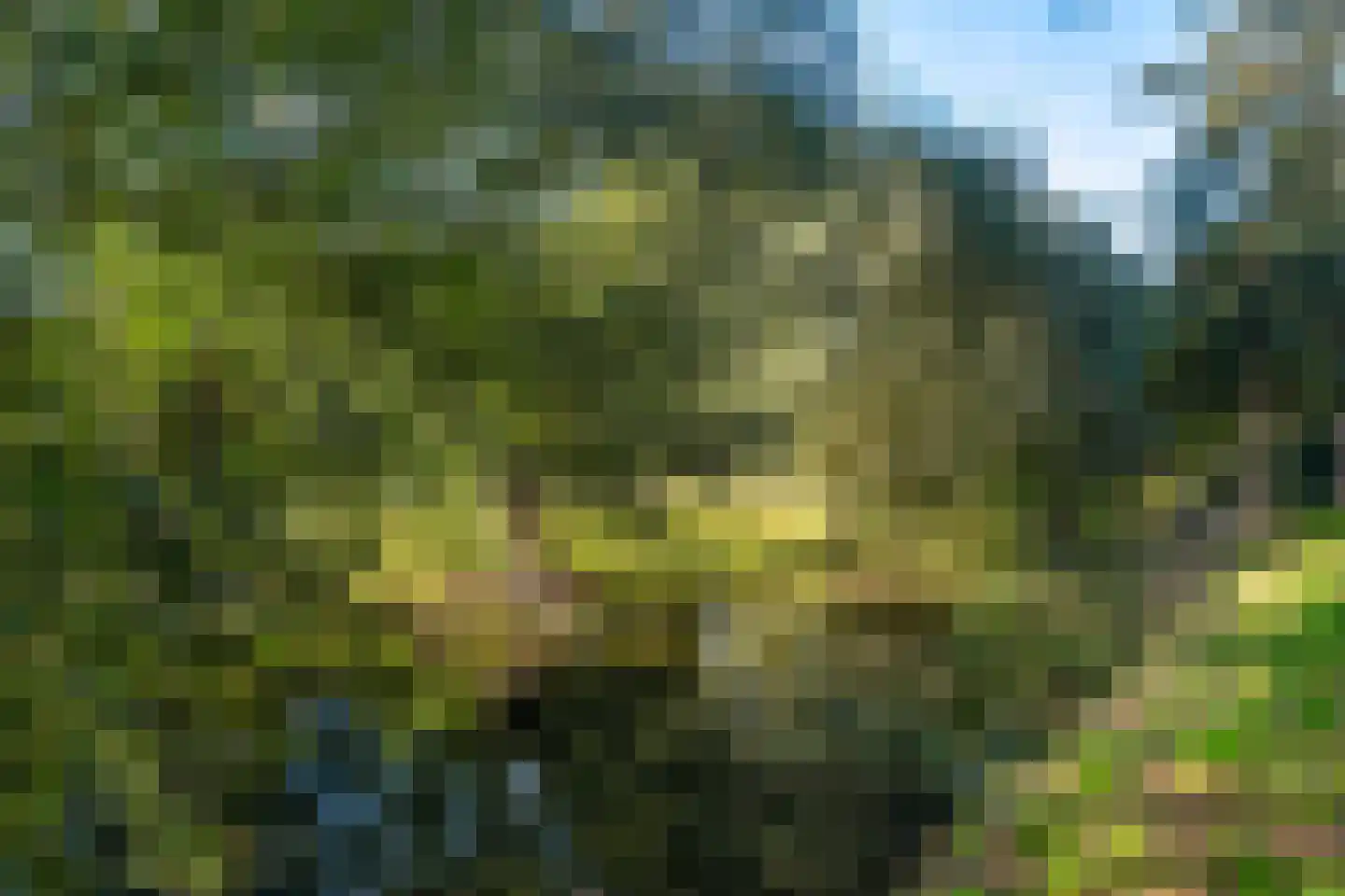 Kornalijnpad 14 IJsselstein thumbnail 46