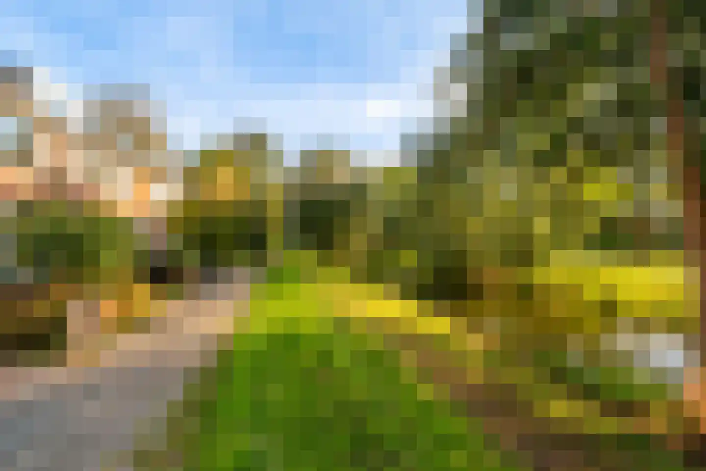 Kornalijnpad 14 IJsselstein thumbnail 48