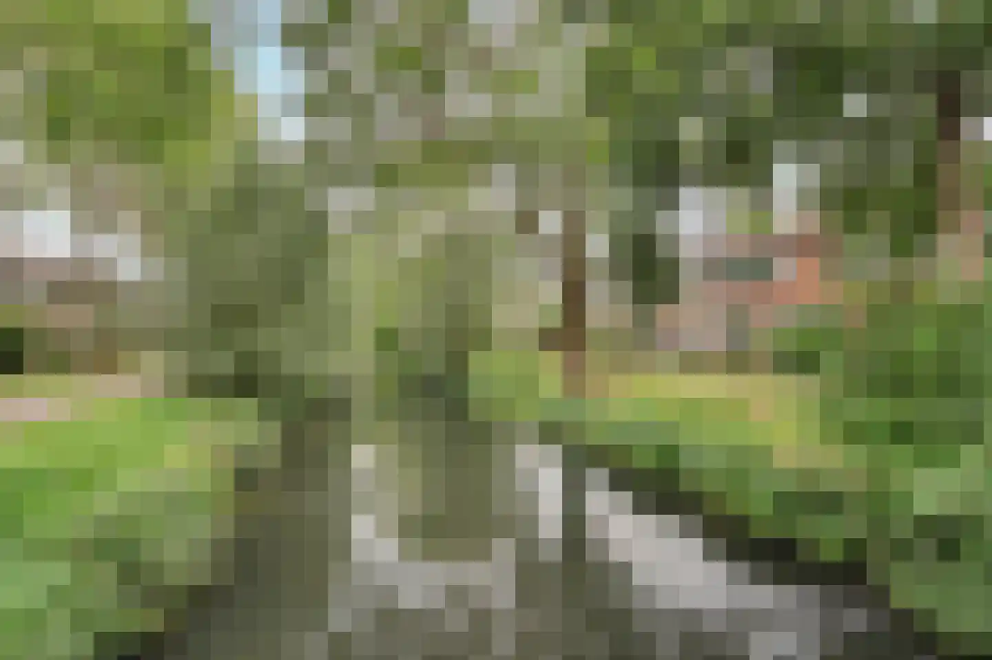 Kornalijnpad 22 IJsselstein thumbnail 38