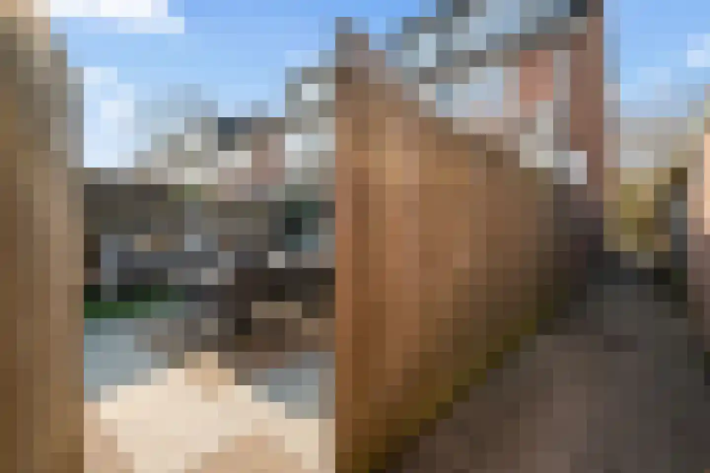 Kornalijnpad 26 IJsselstein thumbnail 34