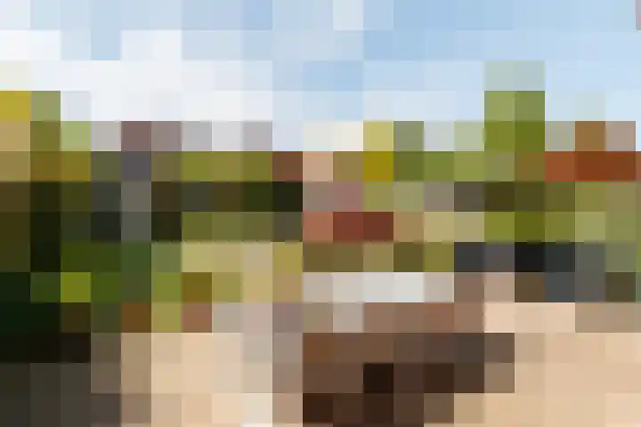 Korne 13 De Meern thumbnail 10
