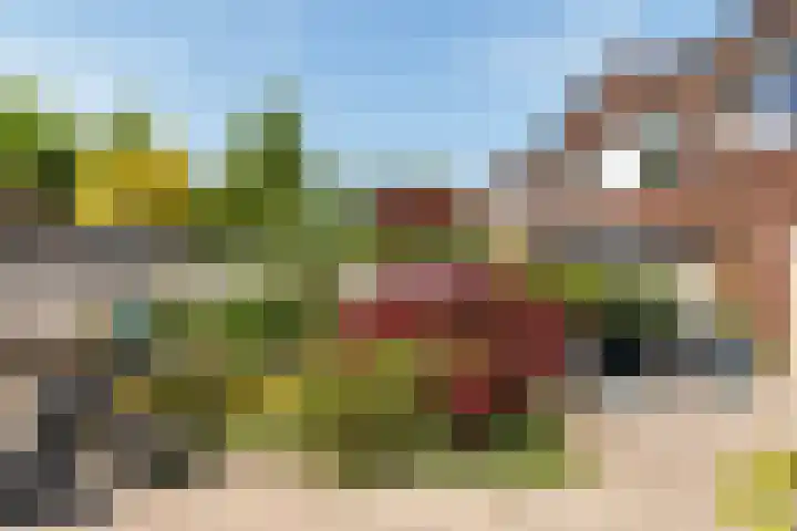Korne 13 De Meern thumbnail 11