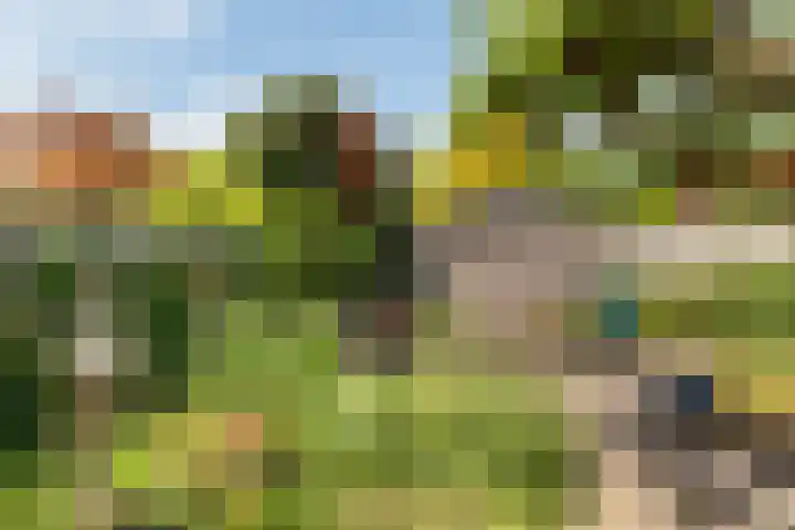 Korne 13 De Meern thumbnail 12
