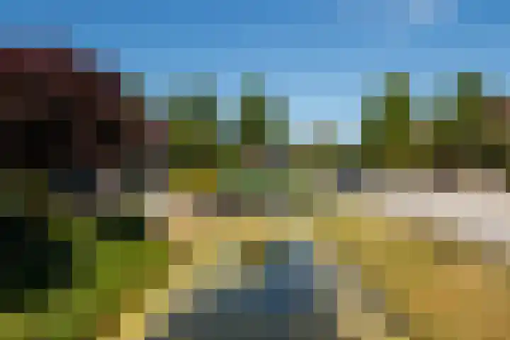 Korne 13 De Meern thumbnail 15