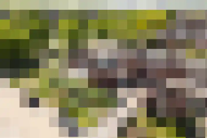 Korne 13 De Meern thumbnail 24