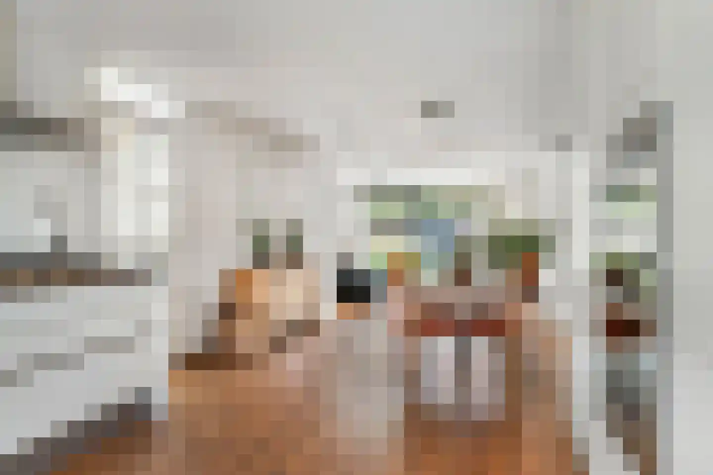 Korne 15 De Meern thumbnail 16