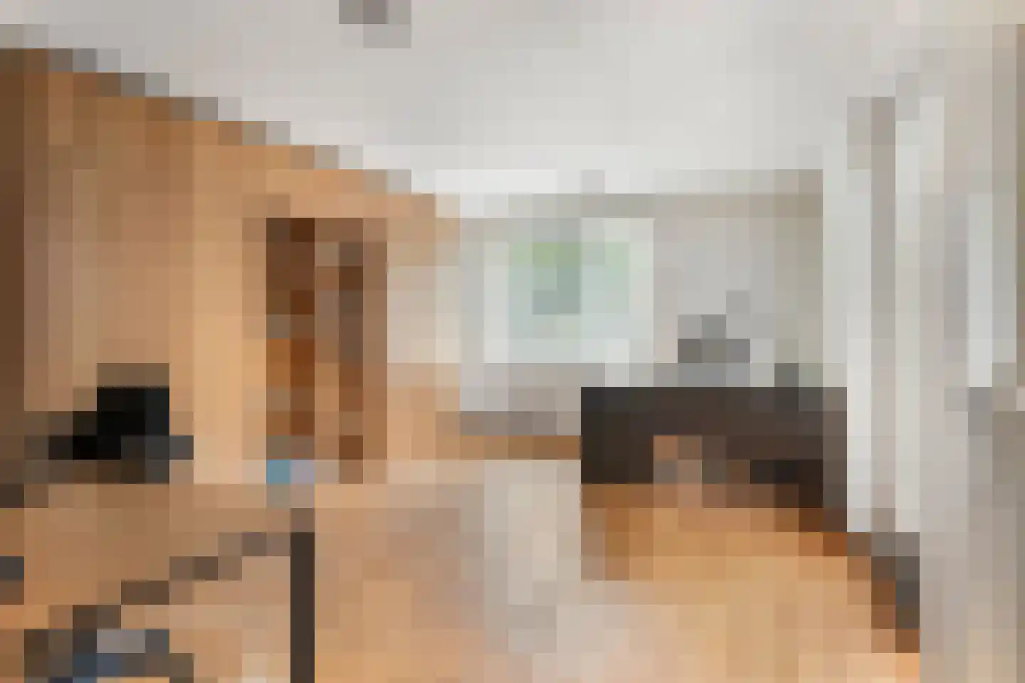Korne 15 De Meern thumbnail 18