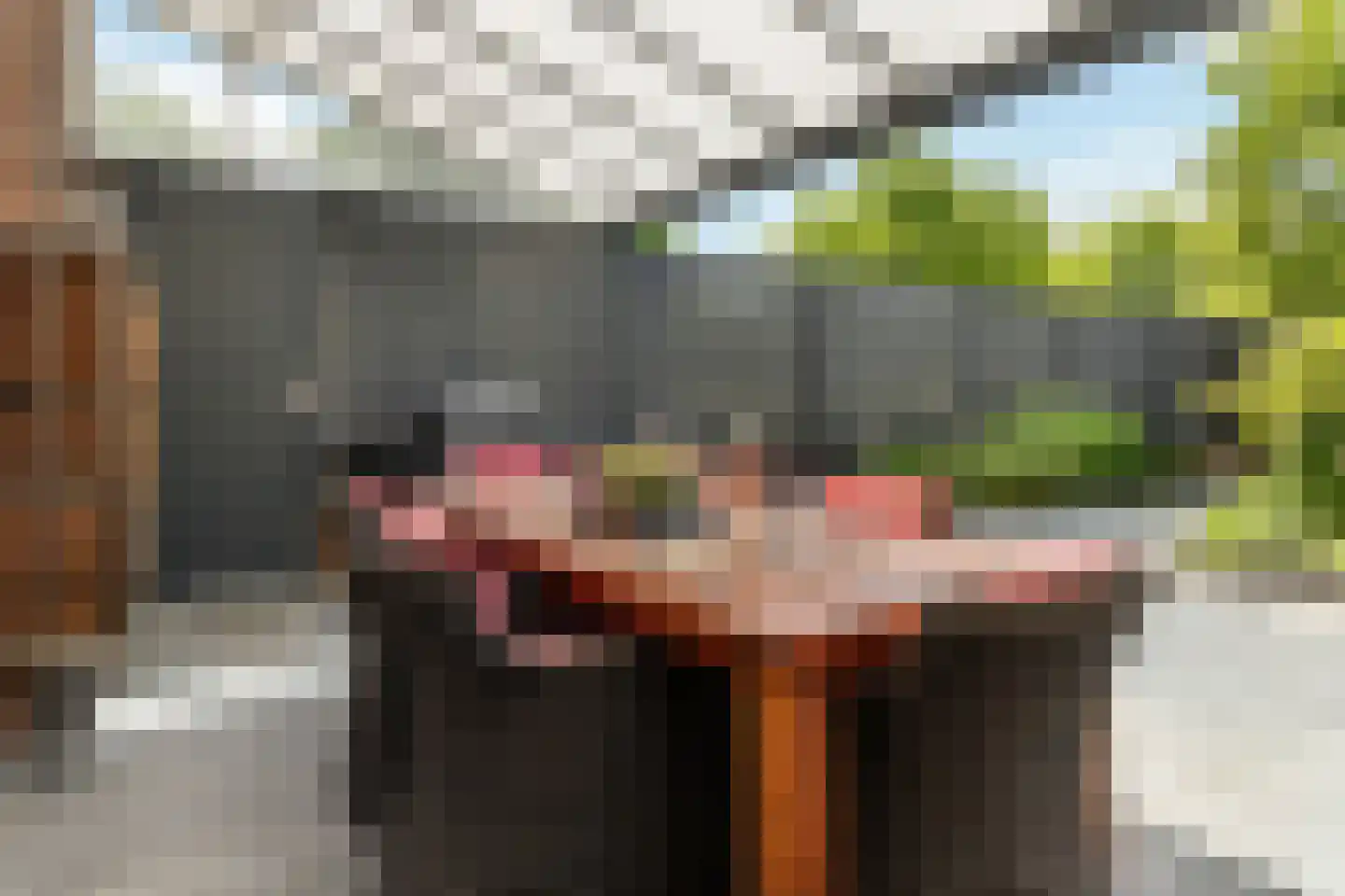 Korne 15 De Meern thumbnail 31