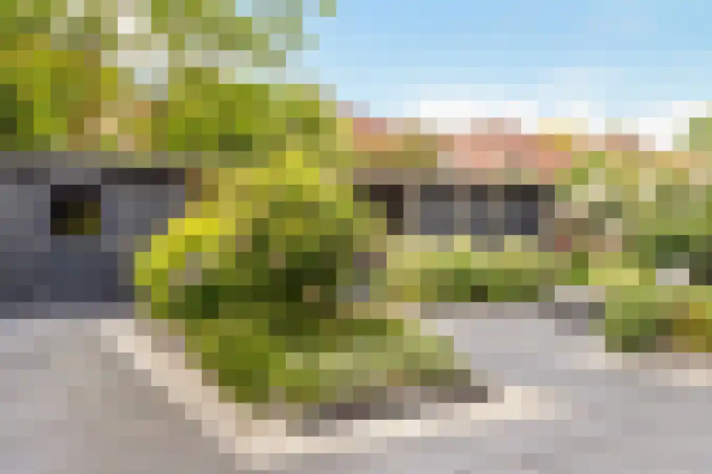 Korne 15 De Meern thumbnail 32