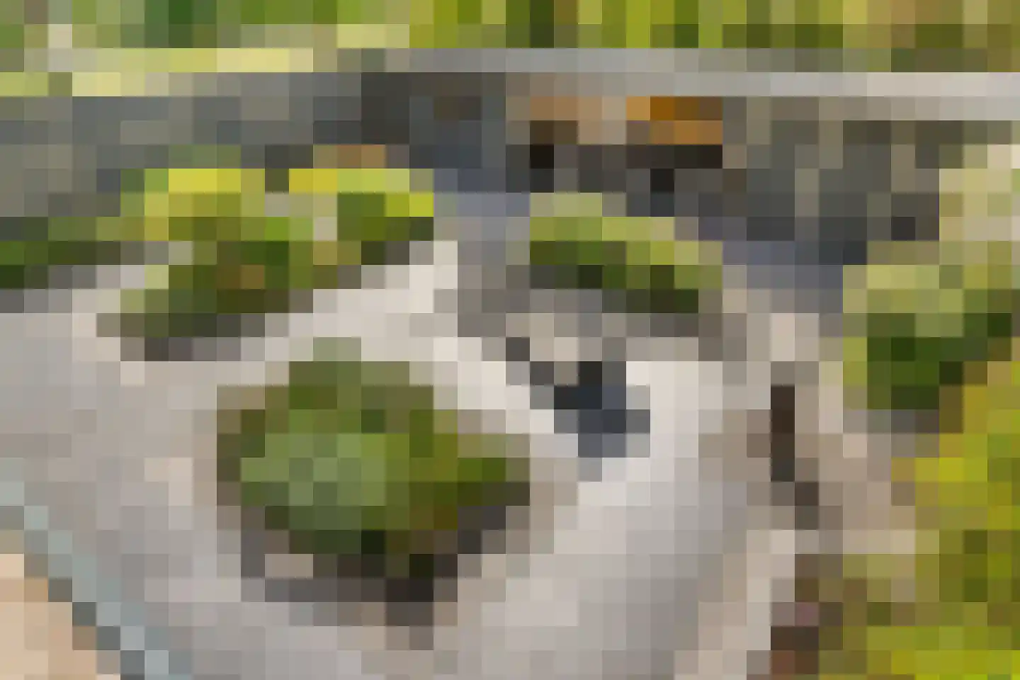 Korne 15 De Meern thumbnail 35