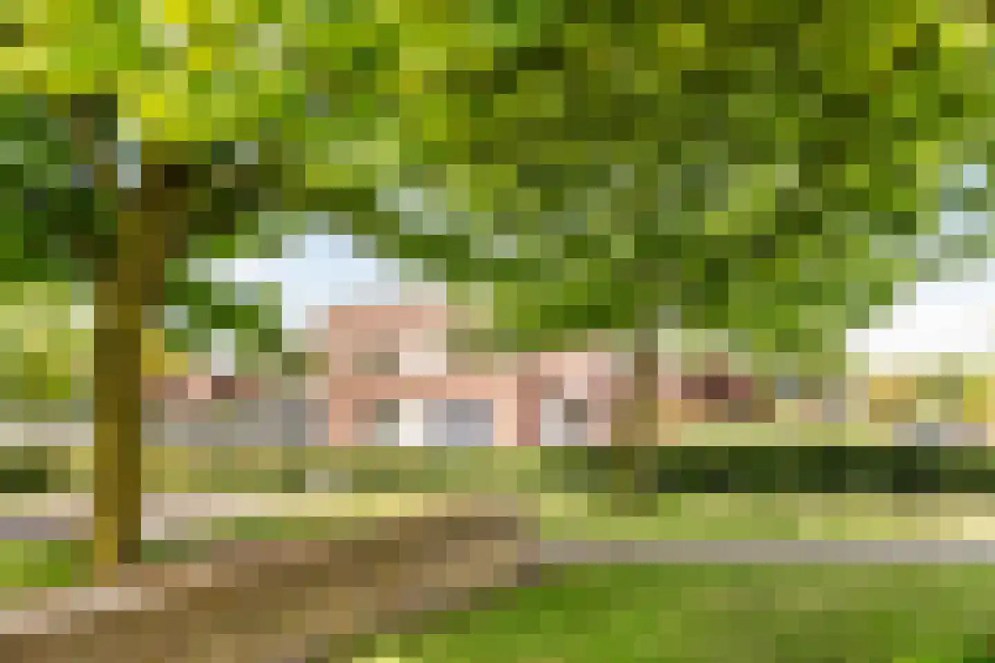 Korne 15 De Meern thumbnail 41