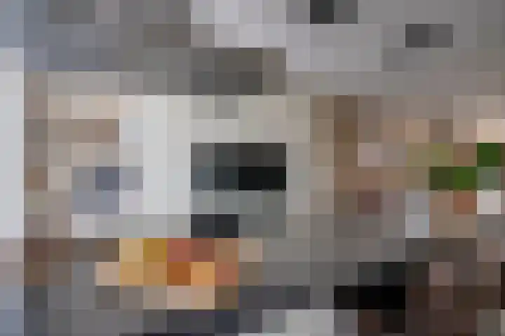 Korne 22 De Meern thumbnail 20