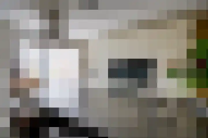 Korne 22 De Meern thumbnail 21