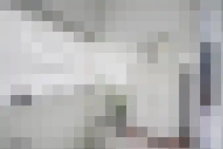 Korne 22 De Meern thumbnail 33