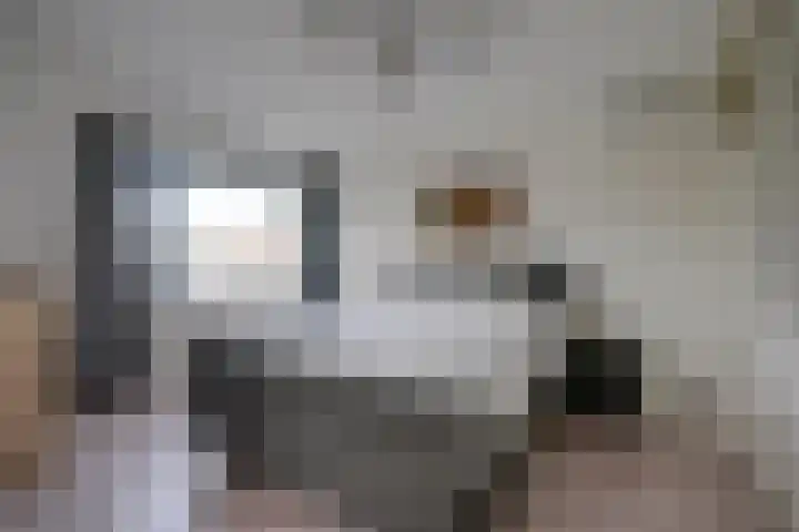 Korne 22 De Meern thumbnail 34