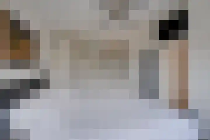 Korne 22 De Meern thumbnail 36