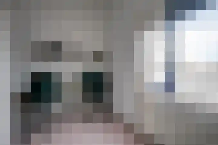 Korne 22 De Meern thumbnail 39