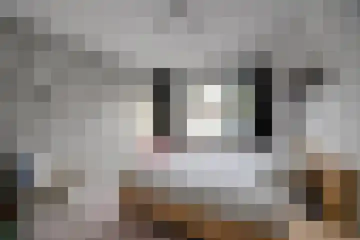 Korne 22 De Meern thumbnail 42