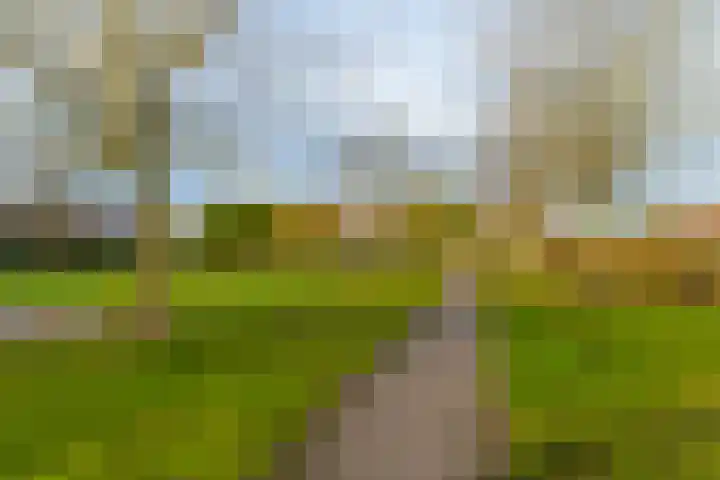 Korne 22 De Meern thumbnail 50