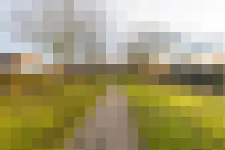 Korne 22 De Meern thumbnail 52
