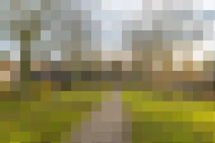 Korne 22 De Meern thumbnail 53