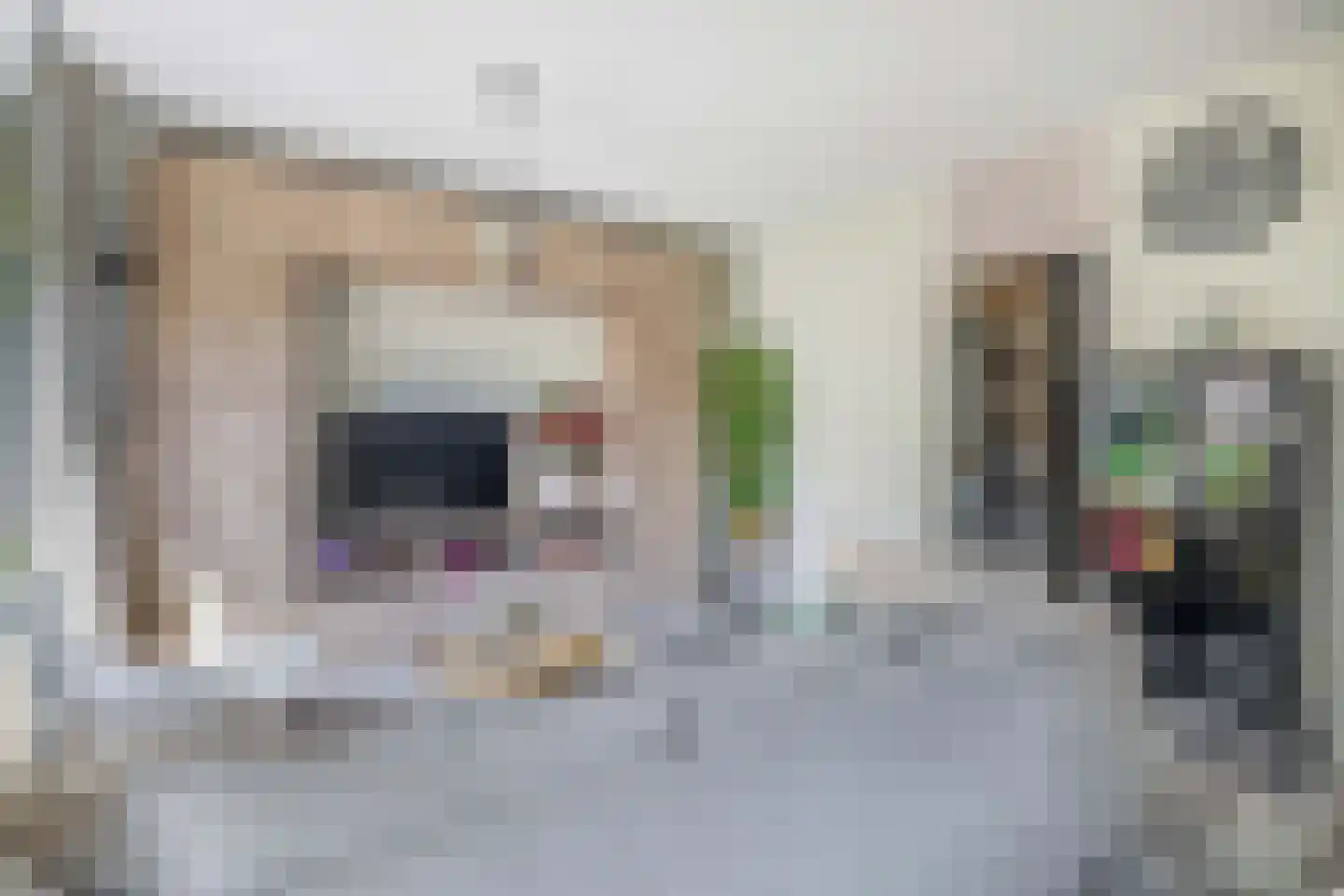 Korne 27 Rotterdam thumbnail 11