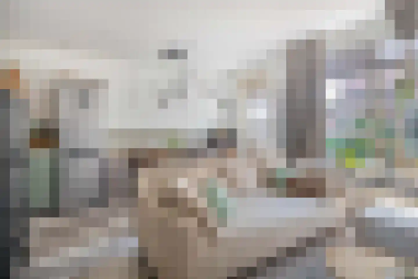 Korne 27 Rotterdam thumbnail 12