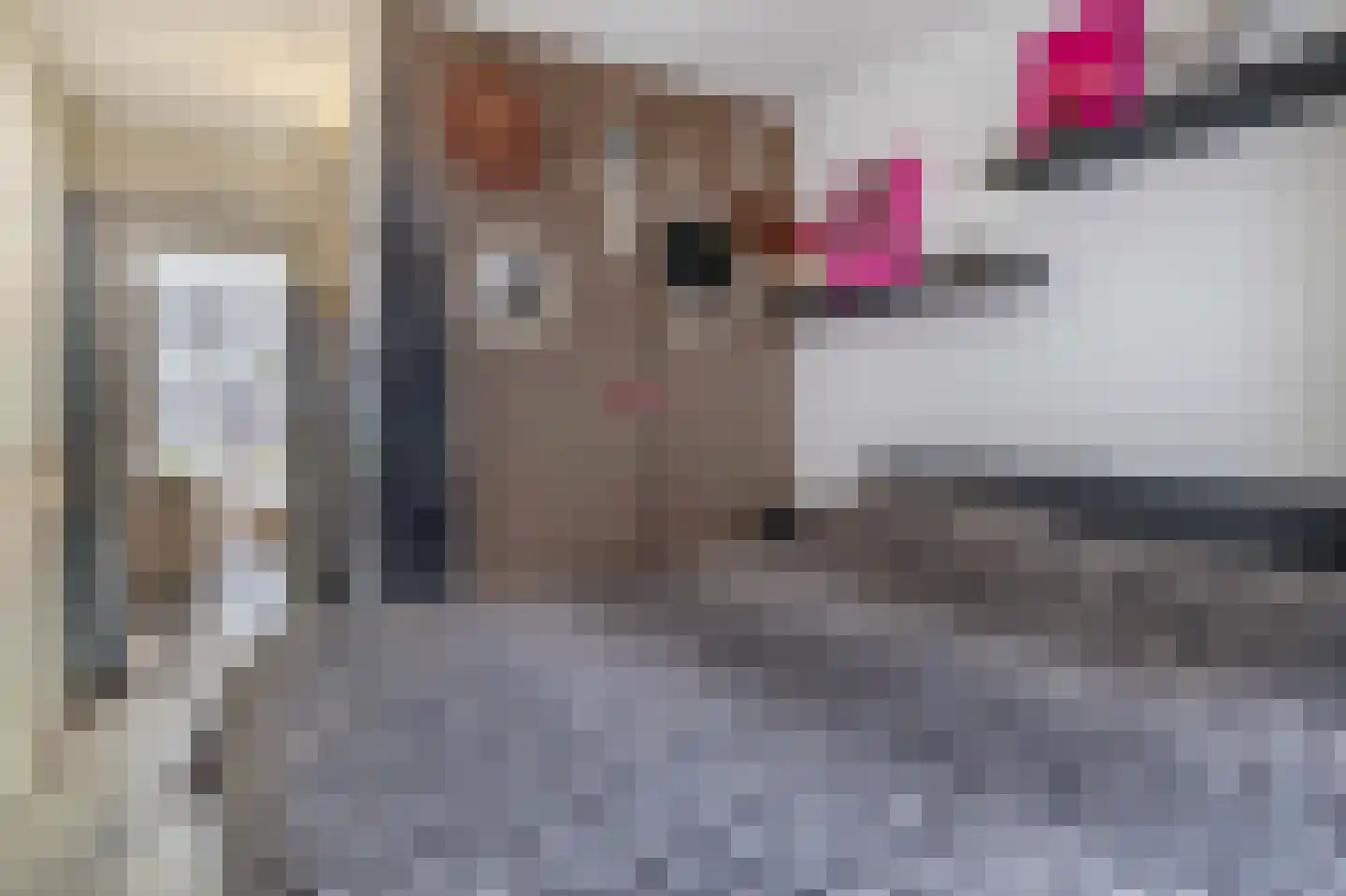 Korne 27 Rotterdam thumbnail 22
