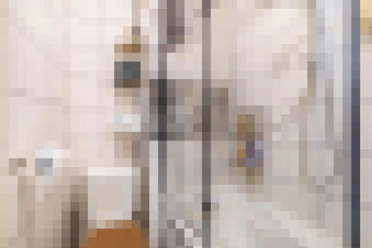 Korne 27 Rotterdam thumbnail 25