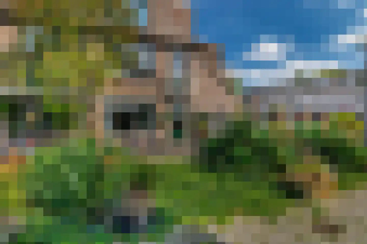 Korne 27 Rotterdam thumbnail 29
