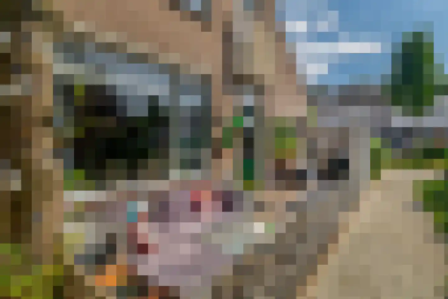 Korne 27 Rotterdam thumbnail 5