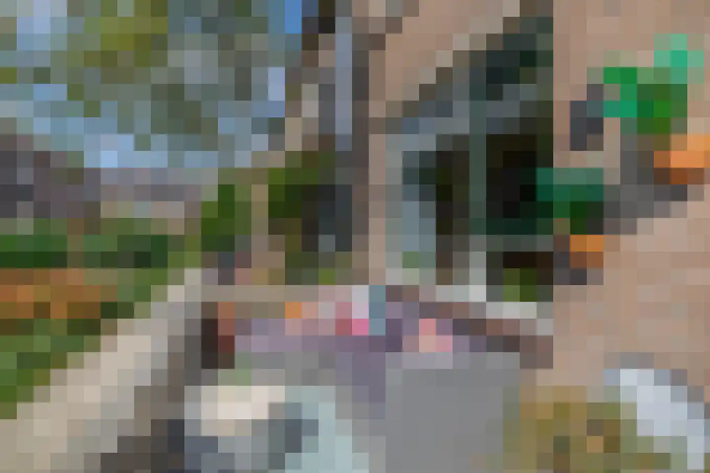 Korne 27 Rotterdam thumbnail 6