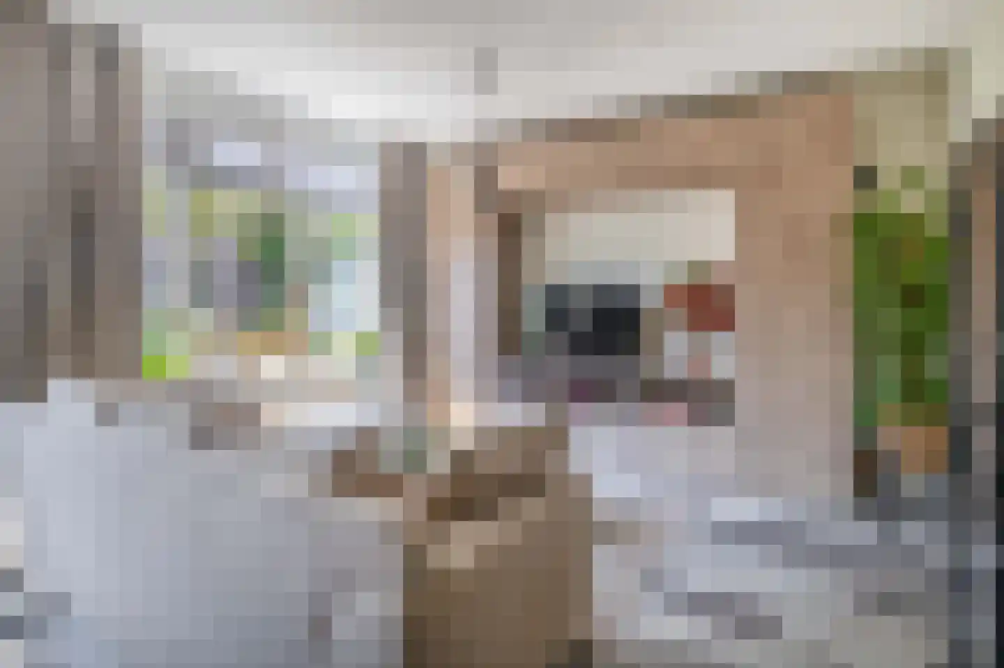 Korne 27 Rotterdam thumbnail 9