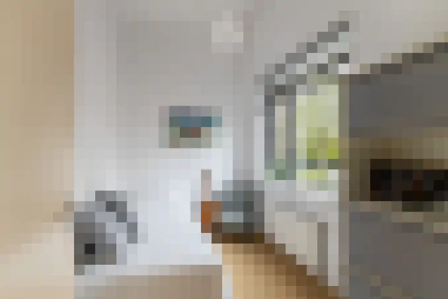 Korne 4 De Meern thumbnail 28