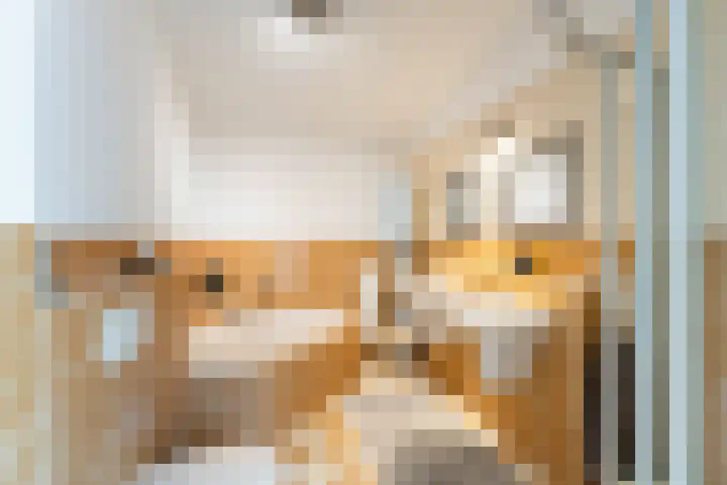 Korne 4 De Meern thumbnail 33