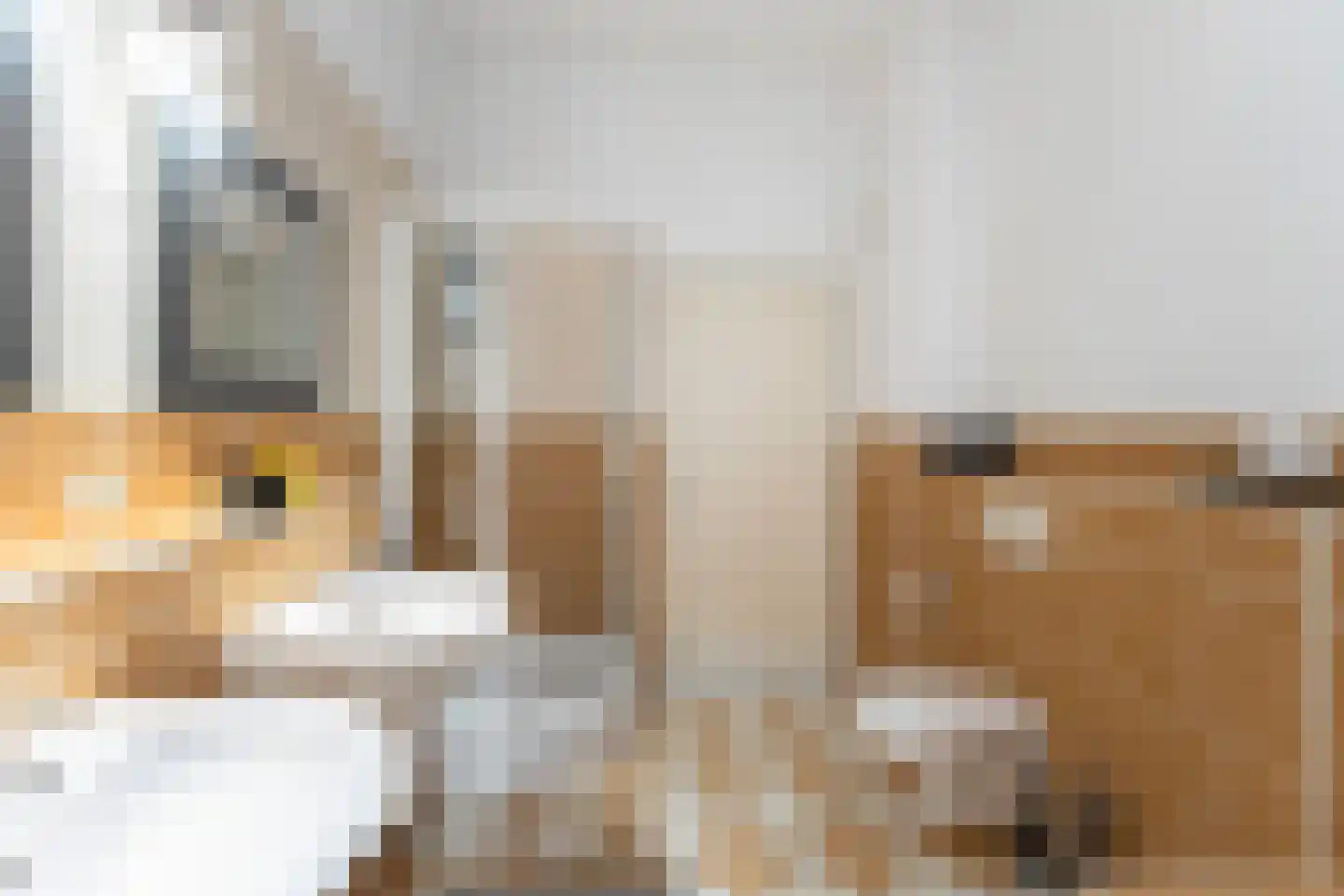 Korne 4 De Meern thumbnail 35