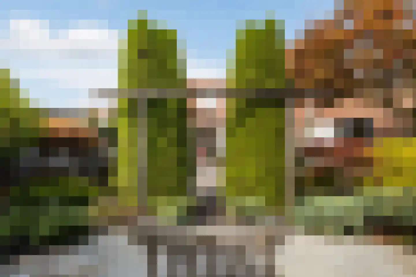 Korne 4 De Meern thumbnail 38
