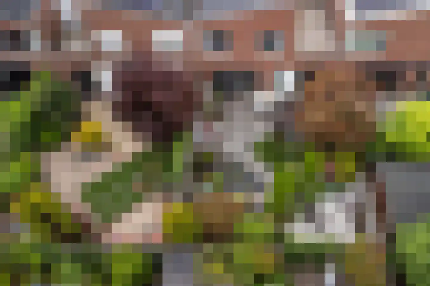 Korne 4 De Meern thumbnail 45