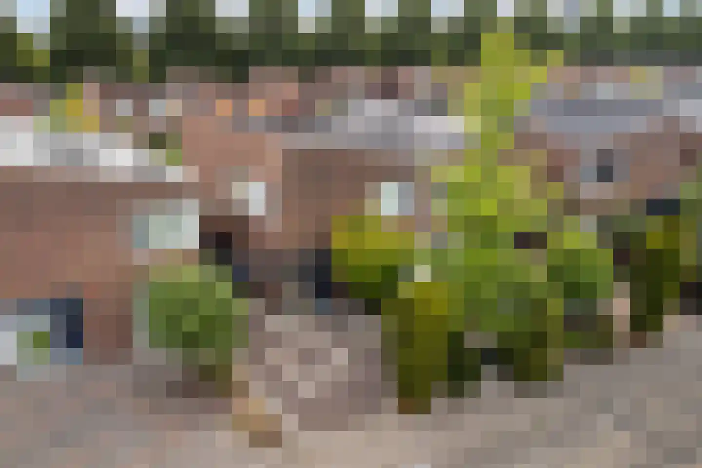 Korne 4 De Meern thumbnail 47
