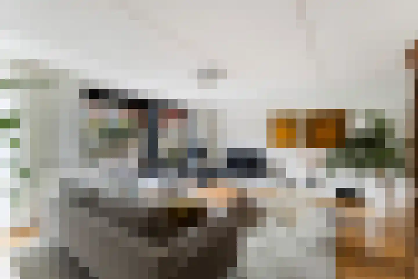 Korne 4 De Meern thumbnail 9