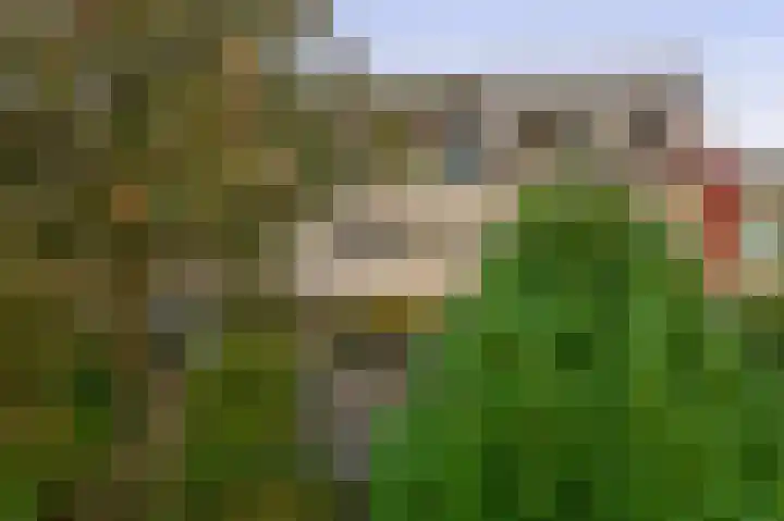 Korne 44 Rotterdam thumbnail 30