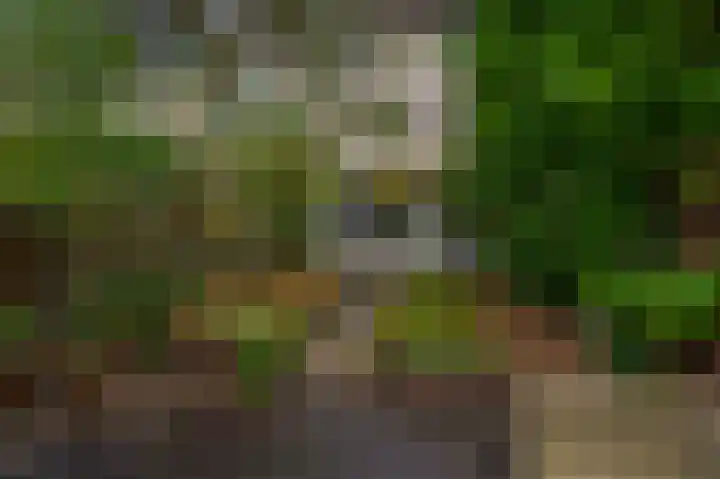 Korne 44 Rotterdam thumbnail 4