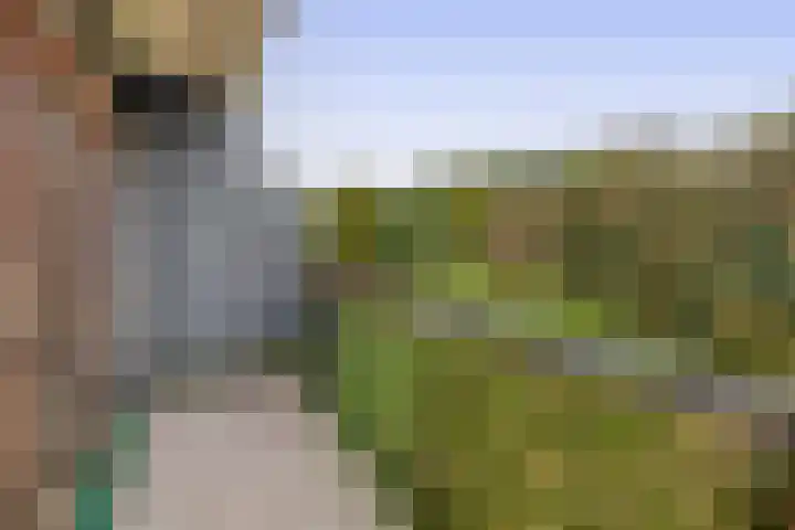 Korne 44 Rotterdam thumbnail 46