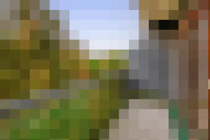 Korne 44 Rotterdam thumbnail 5