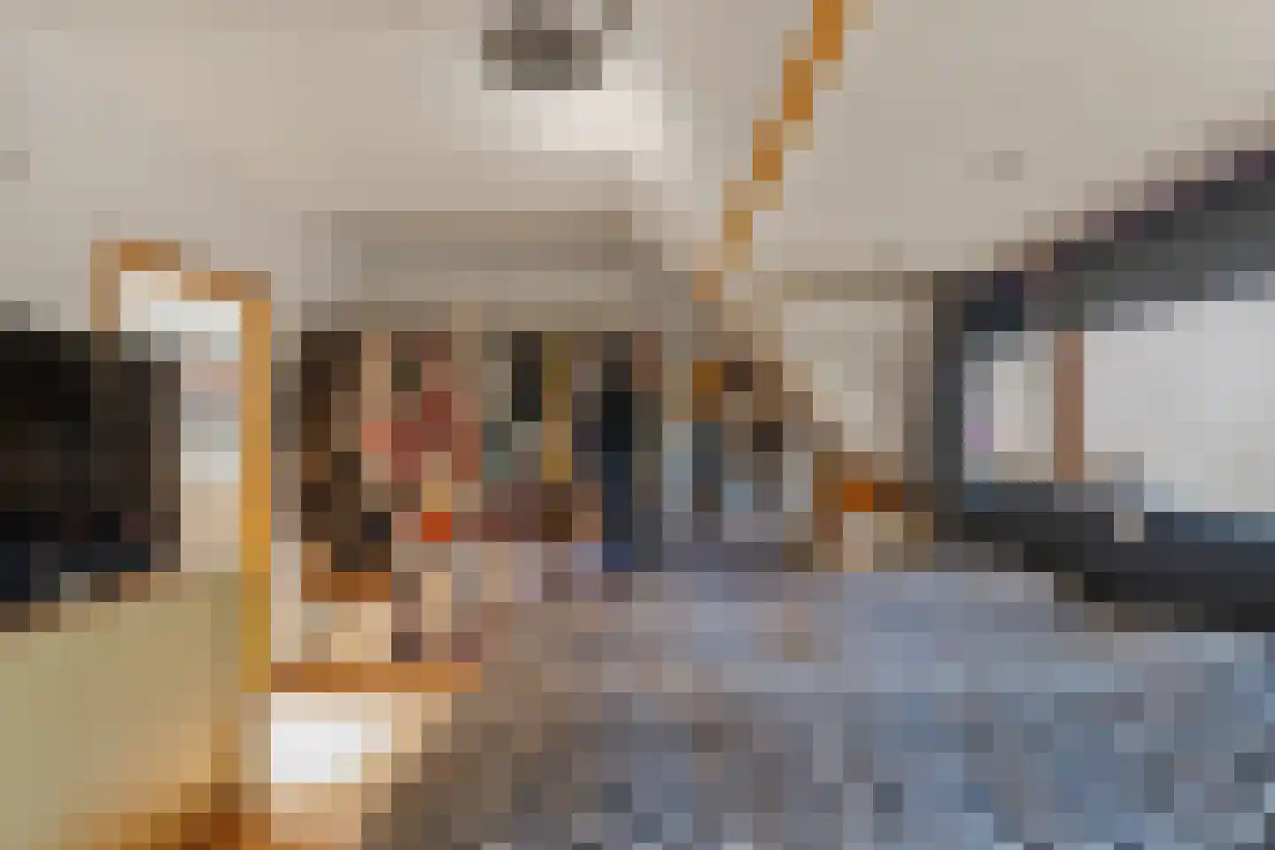 Korne 64 Rotterdam thumbnail 17