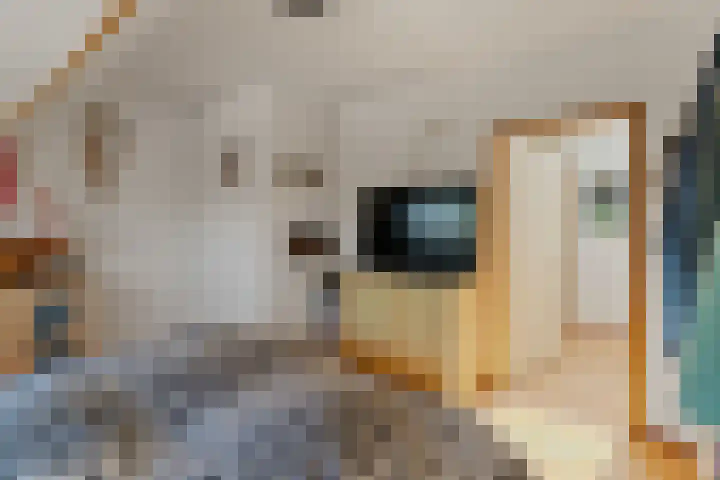 Korne 64 Rotterdam thumbnail 18
