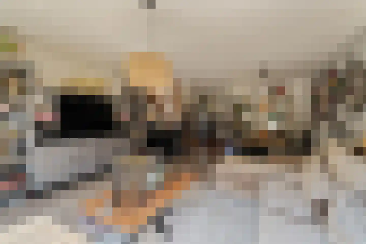 Korne 64 Rotterdam thumbnail 8